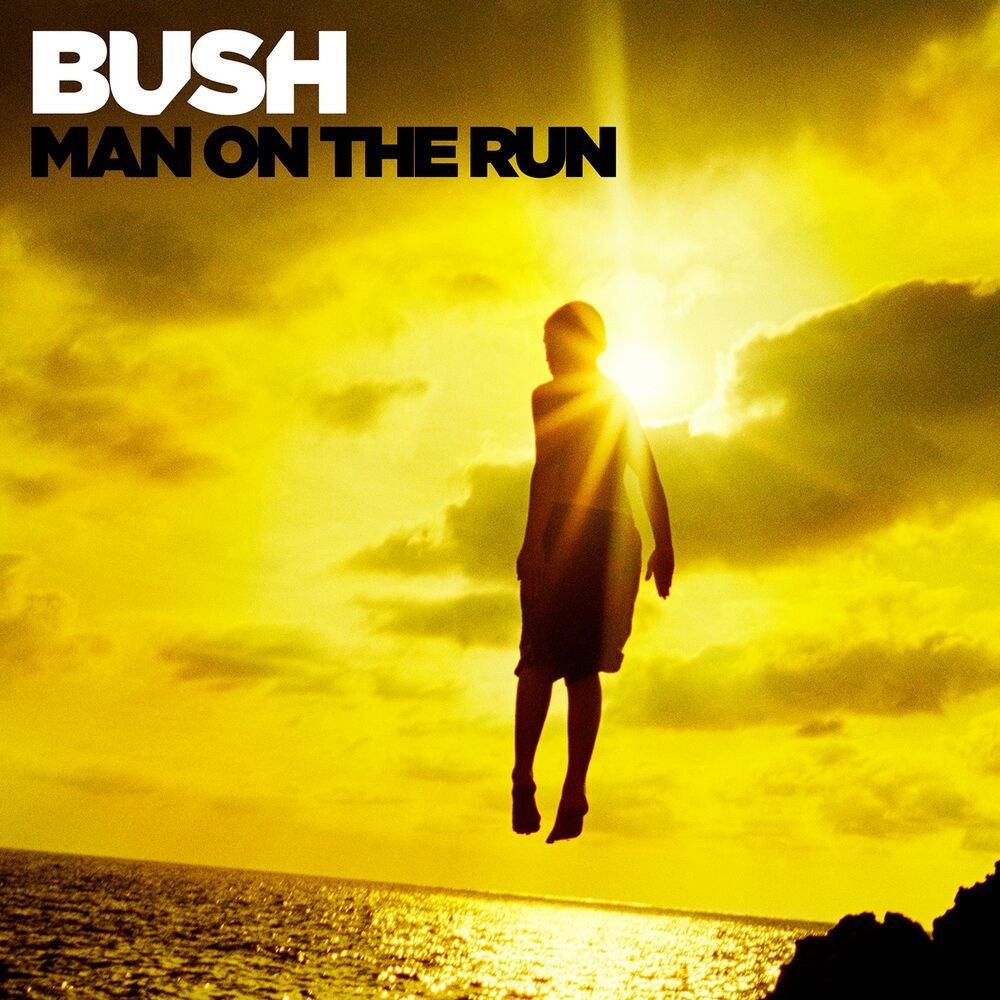 Picture of Man on the Run (Deluxe Version)
