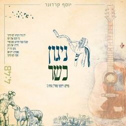 Cover of ניגון כשר