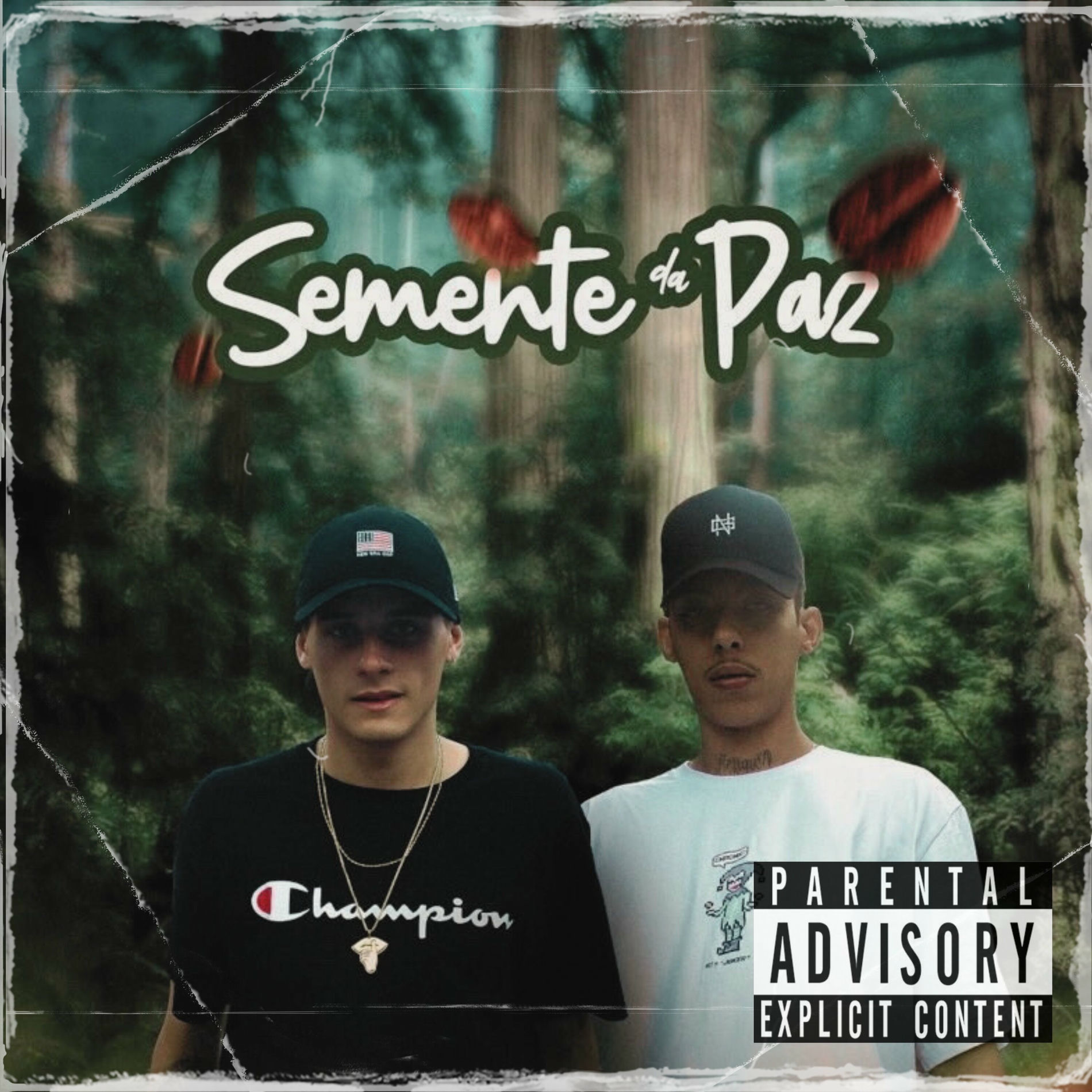 Album cover of Semente da Paz