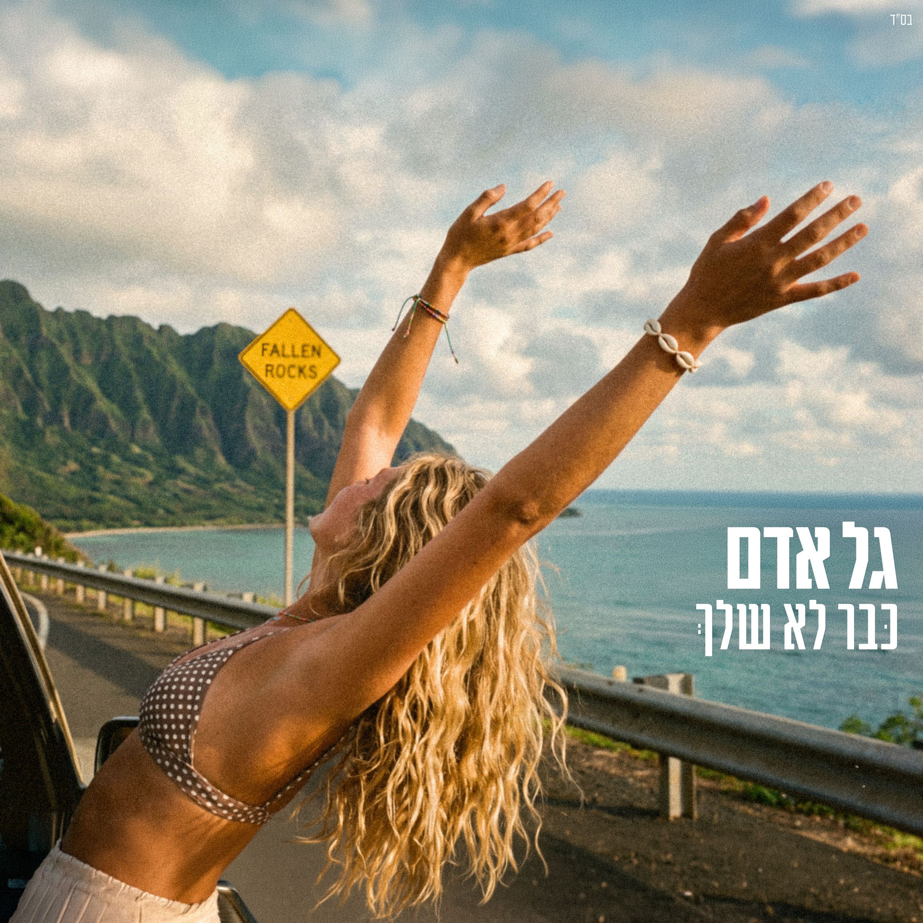 Album cover of כבר לא שלך