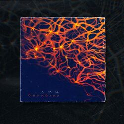Cover of лмц - разноглед