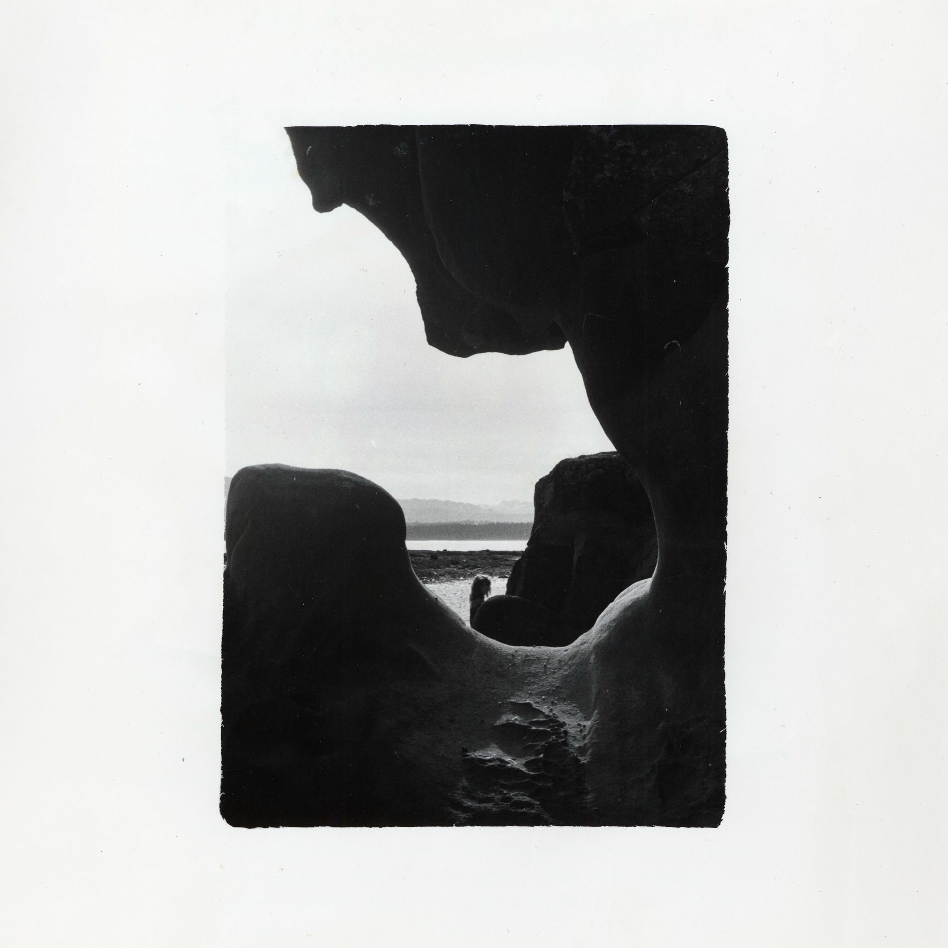 Album cover of No Mast