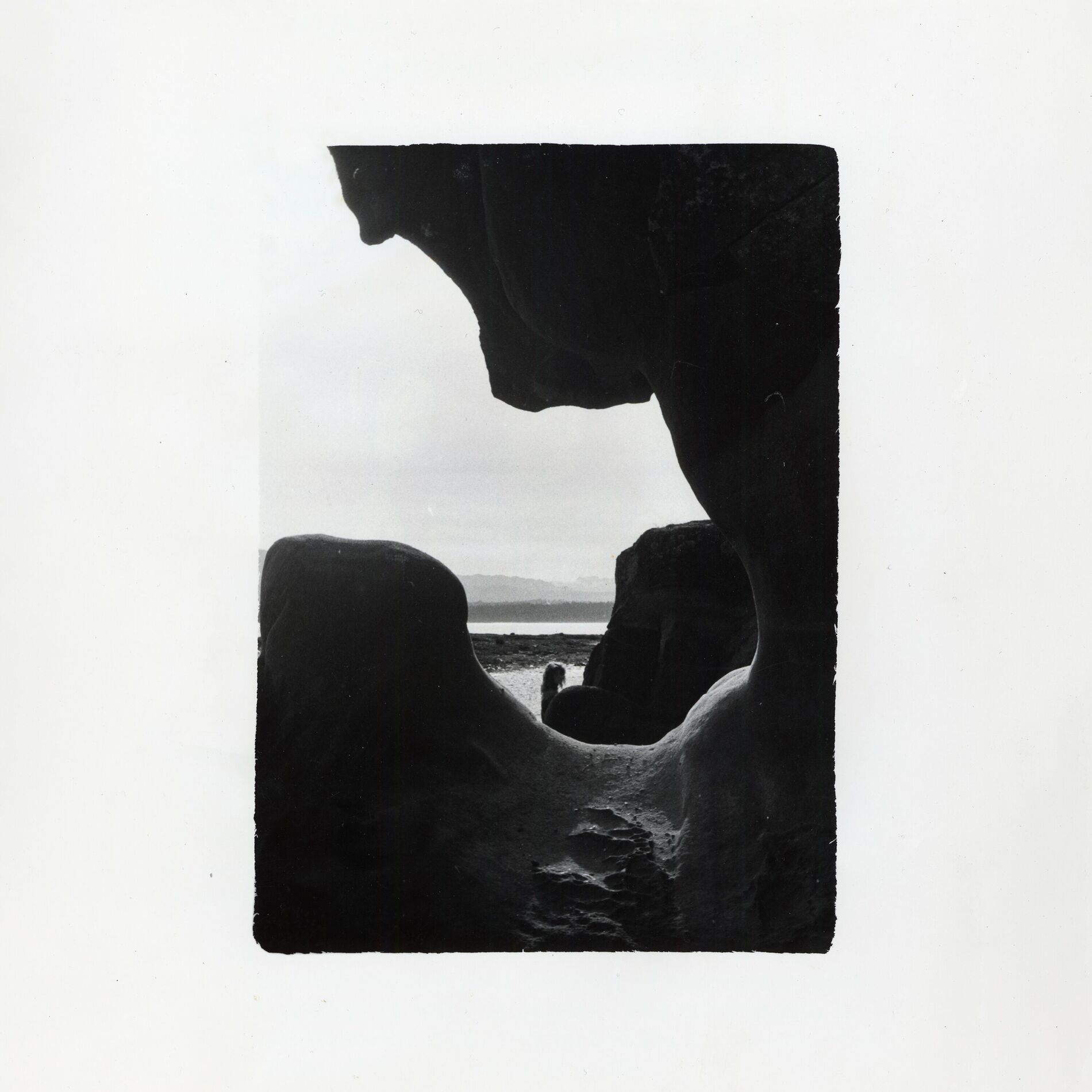 Album cover of No Mast