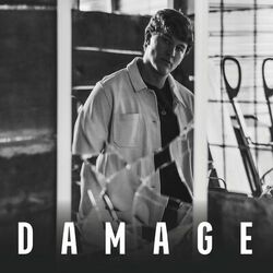 Cover of Damage