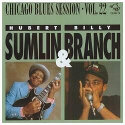 Cover of Chicago Blues Session, Vol. 22