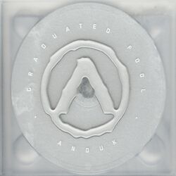 Cover of Graduated Fool
