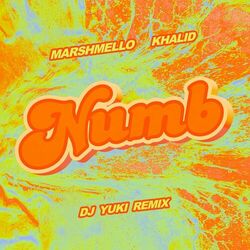 Cover of Numb (DJ YUKI Remix)