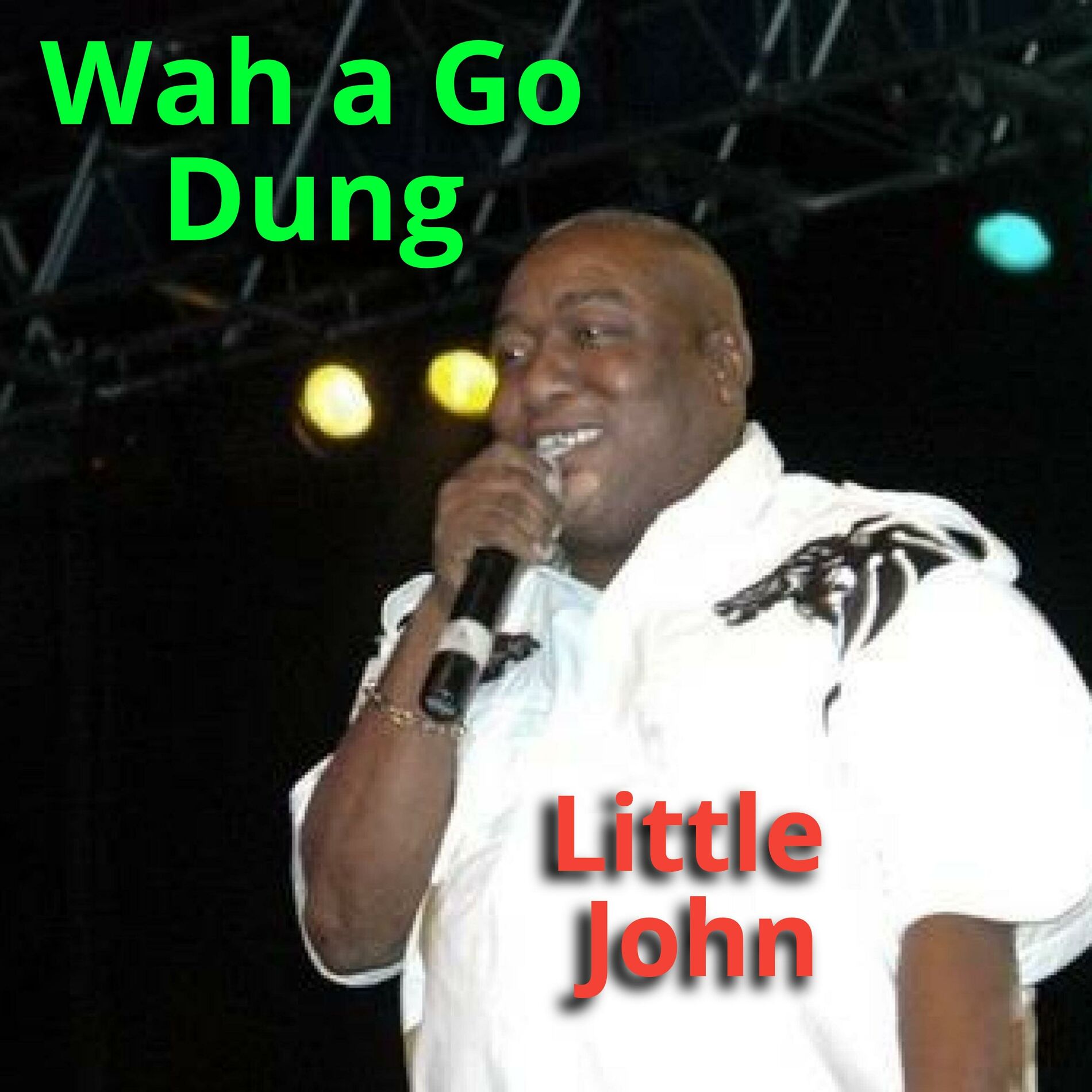 Album cover of Wah a Go Dung (feat. Little John)