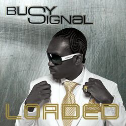 Cover of Loaded