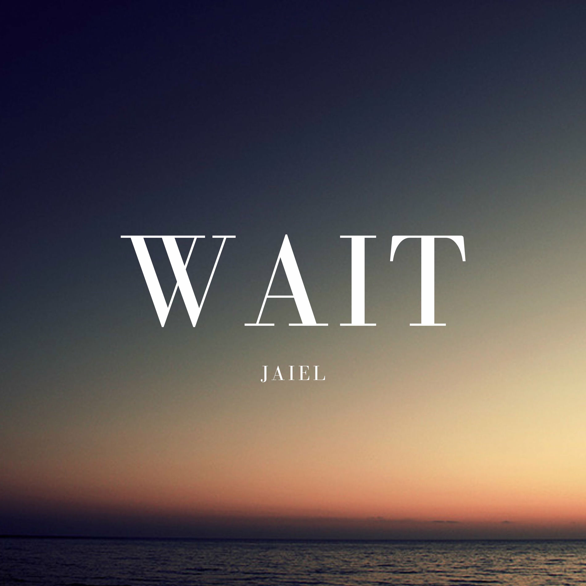 Album cover of Wait