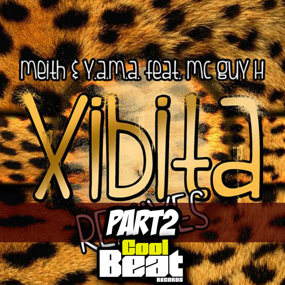 Picture of Xibita Remixes Part2