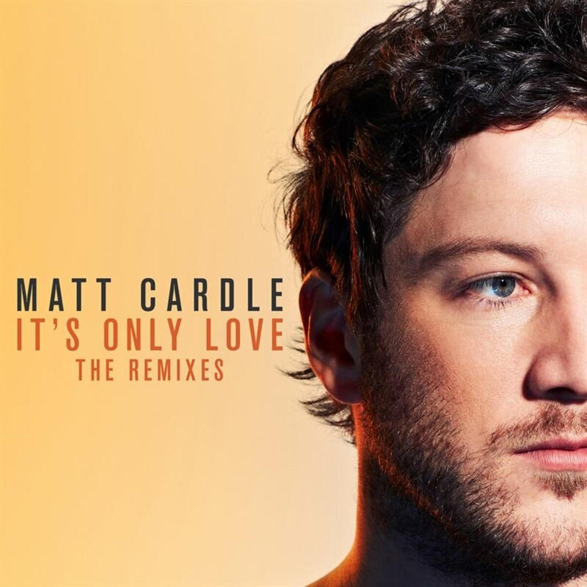 Album cover of It's Only Love: The Remixes