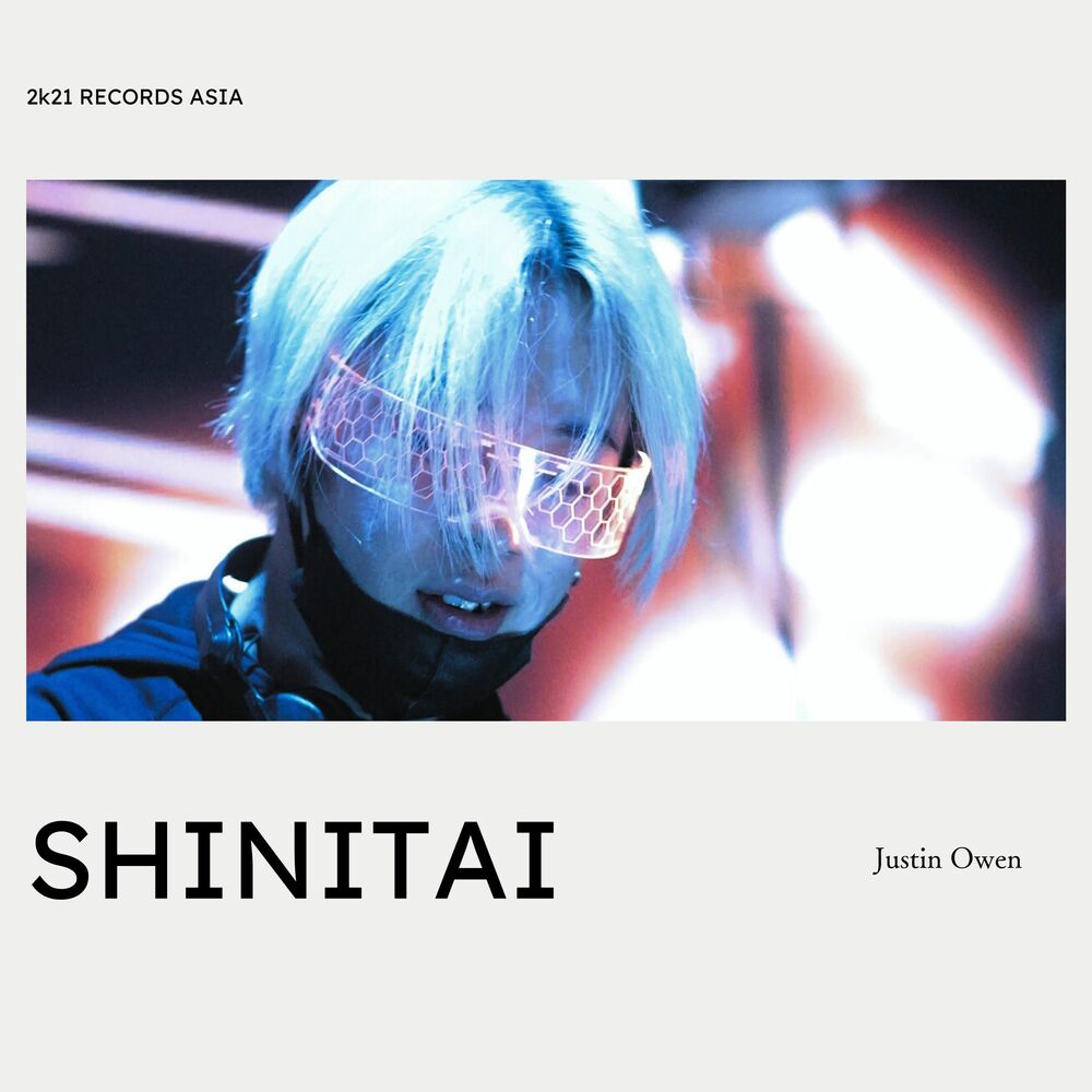 Picture of SHINITAI