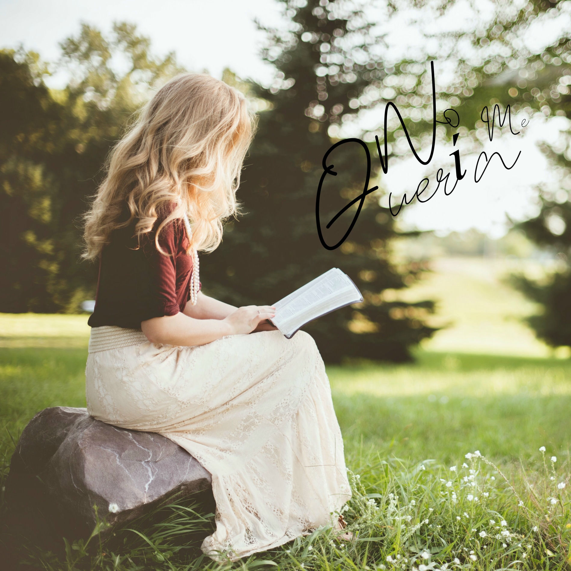 Album cover of No me quería