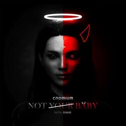 Cover of Not Your Baby