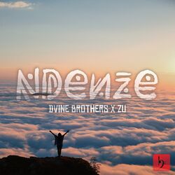 Cover of Ndenze (Remake)