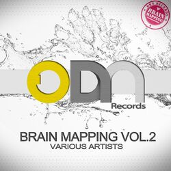 Cover of Brain Mapping Vol 2