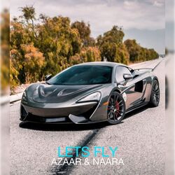 Cover of Lets Fly