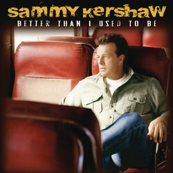 Cover of Better Than I Used to Be