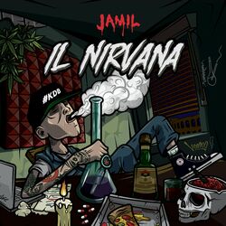 Cover of Il nirvana