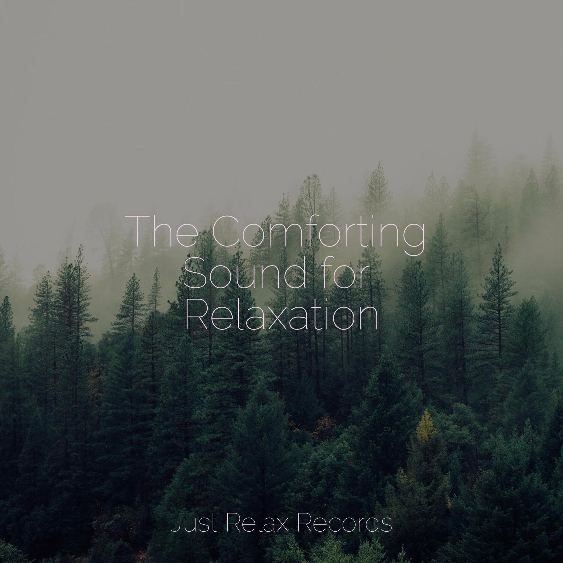 Album cover of The Comforting Sound for Relaxation