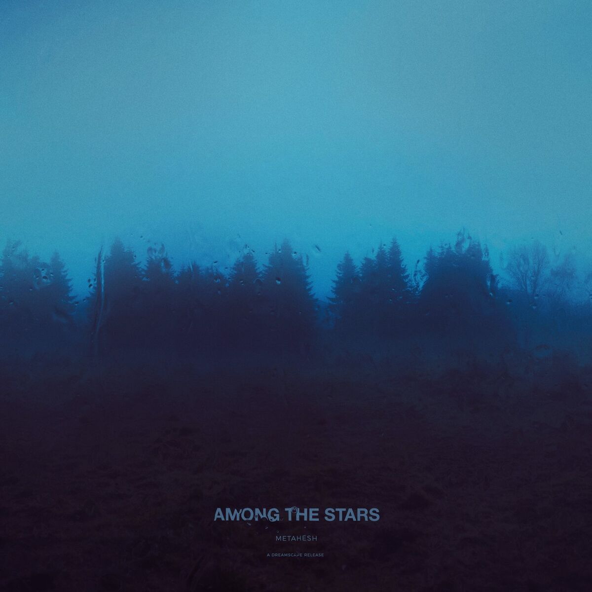Album cover of Among the Stars