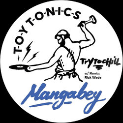 Cover of Try to Chill