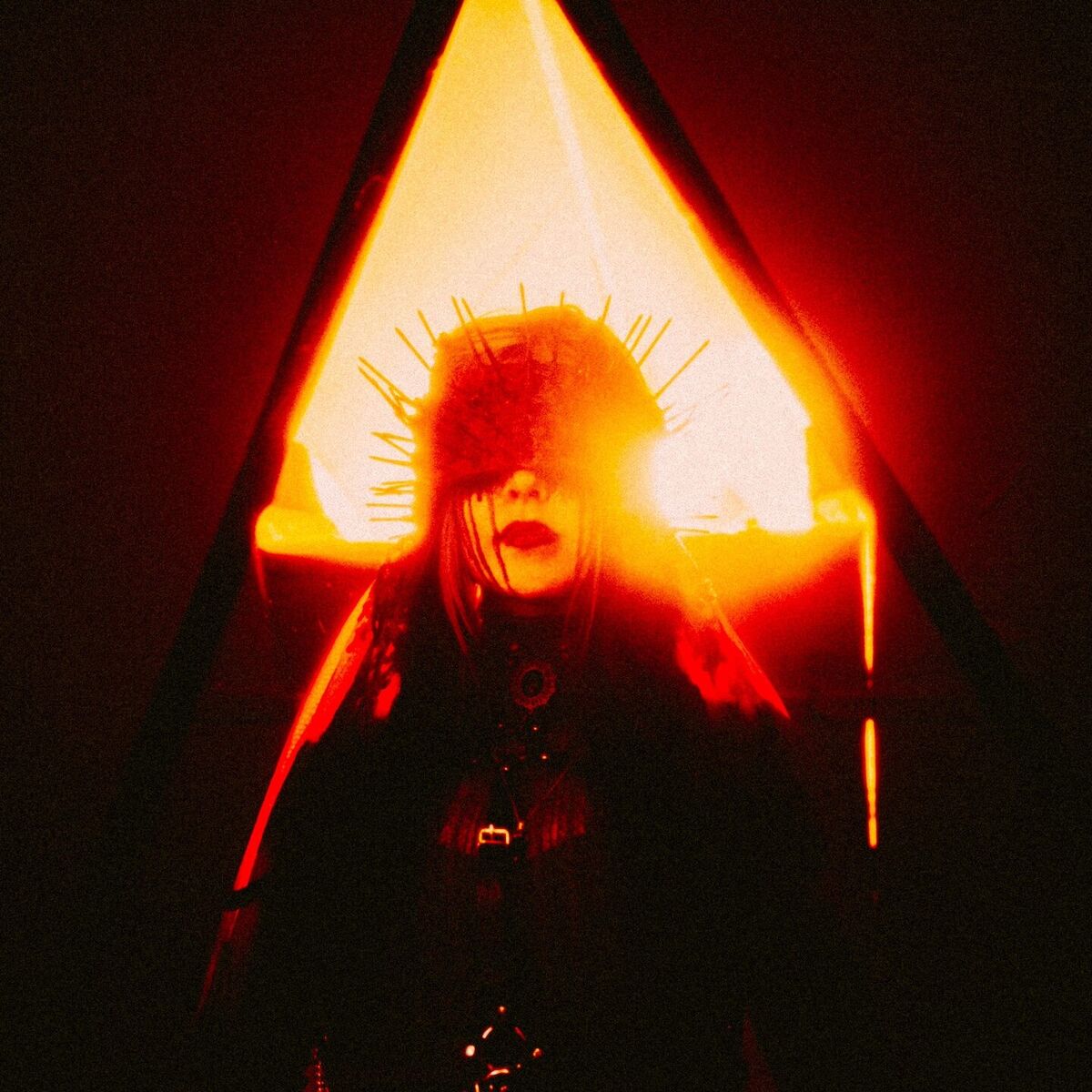 Album cover of Flayed Lord