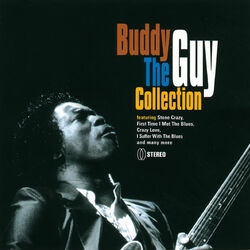Cover of The Collection
