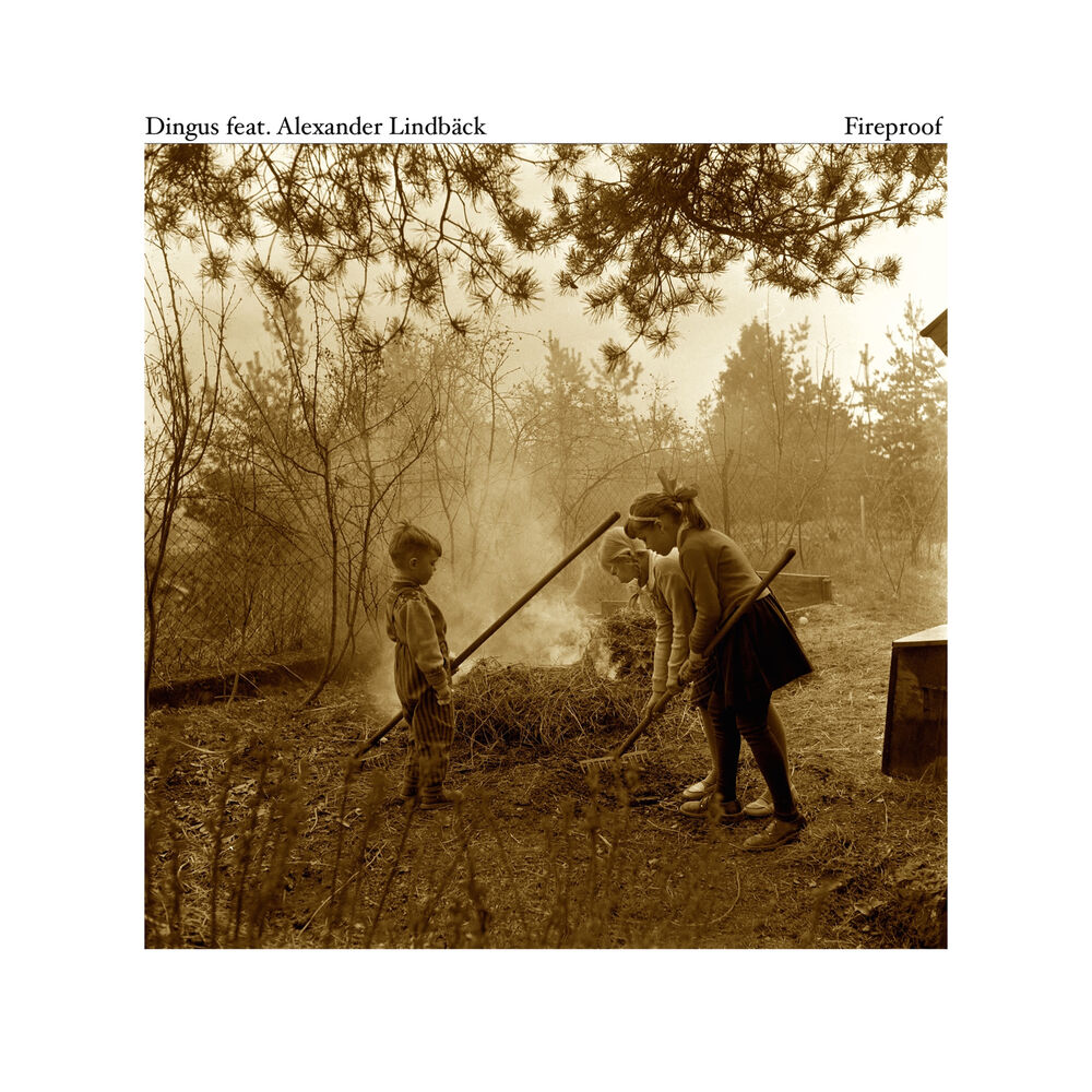 Picture of Fireproof