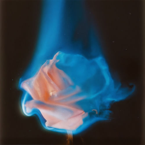Burn Blue artwork