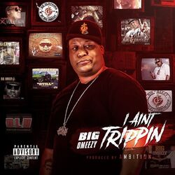 Cover of I Ain't Trippin