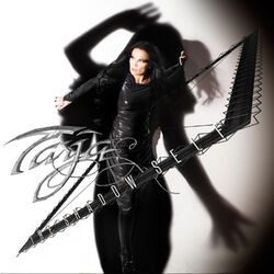 Cover of The Shadow Self