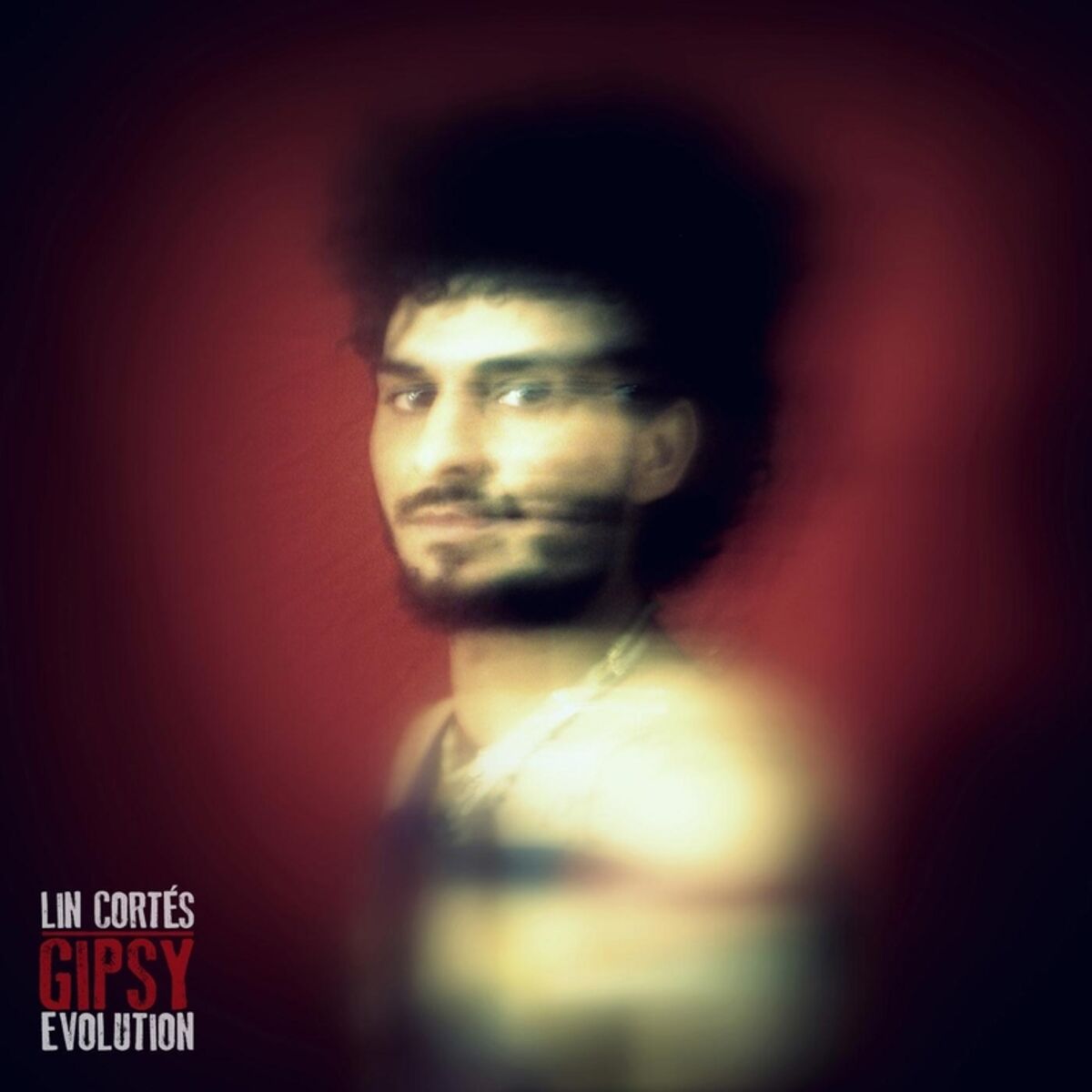 Album cover of Gipsy Evolution