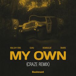Cover of My Own (Craze Remix)