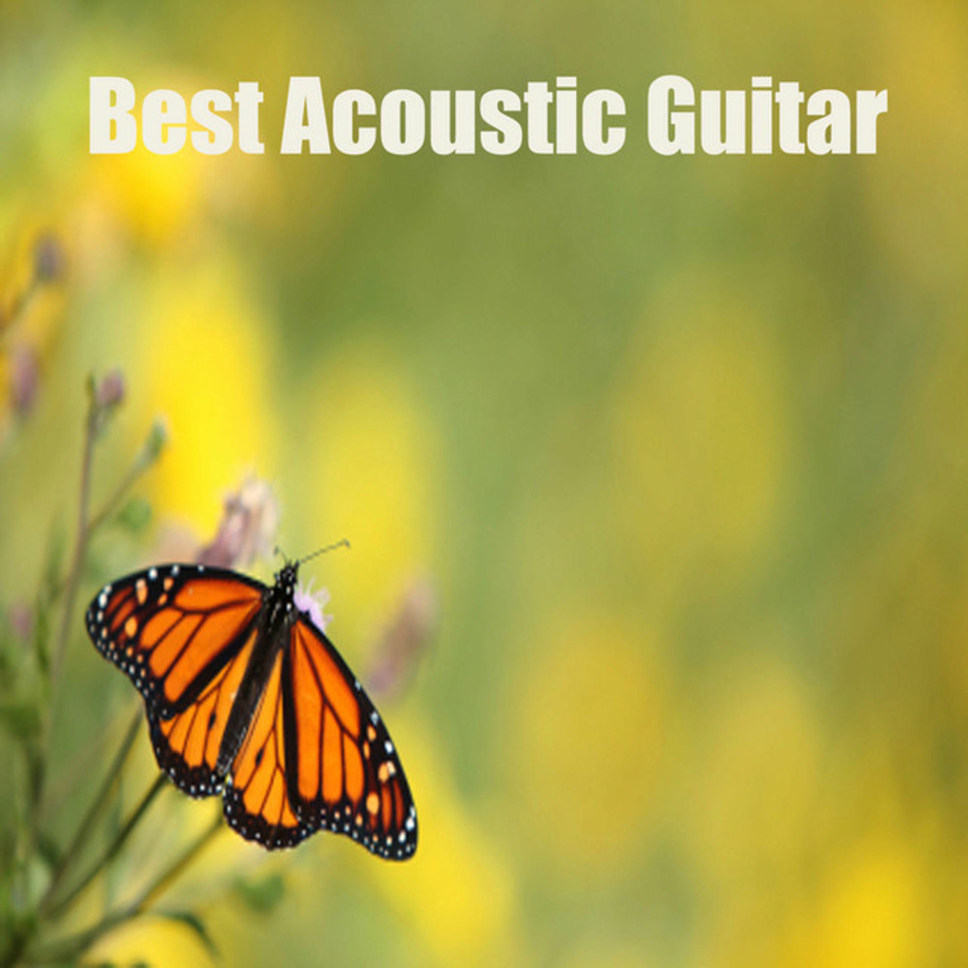 Album cover of Best Acoustic Guitar