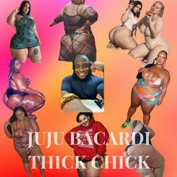 Cover of Thick Chick