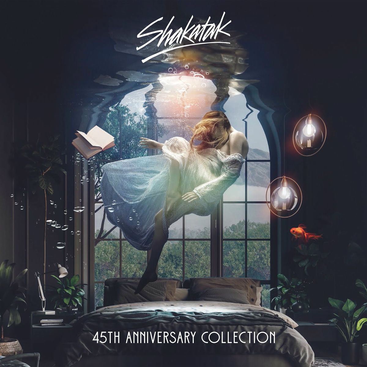 Album cover of 45th Anniversary Collection