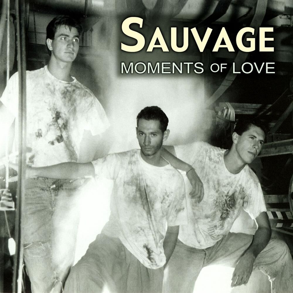 Picture of Moments of Love