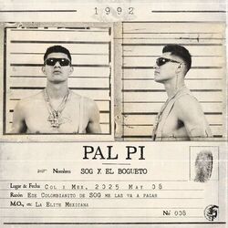 Pal Pi