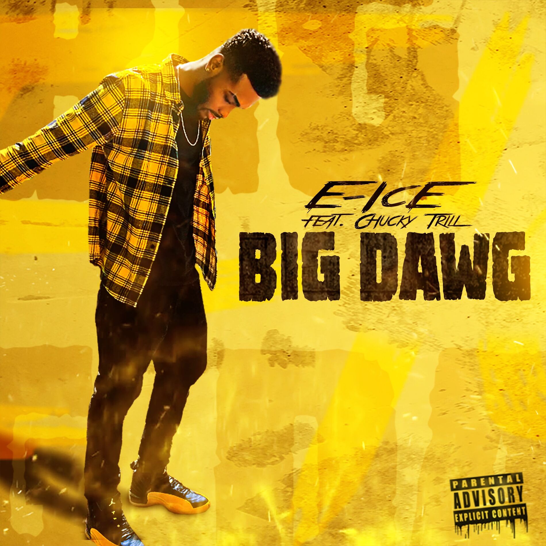 Album cover of Big Dawg