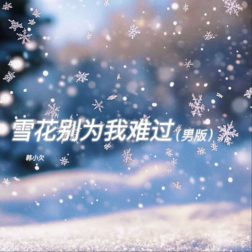 雪花别为我难过 (男版)