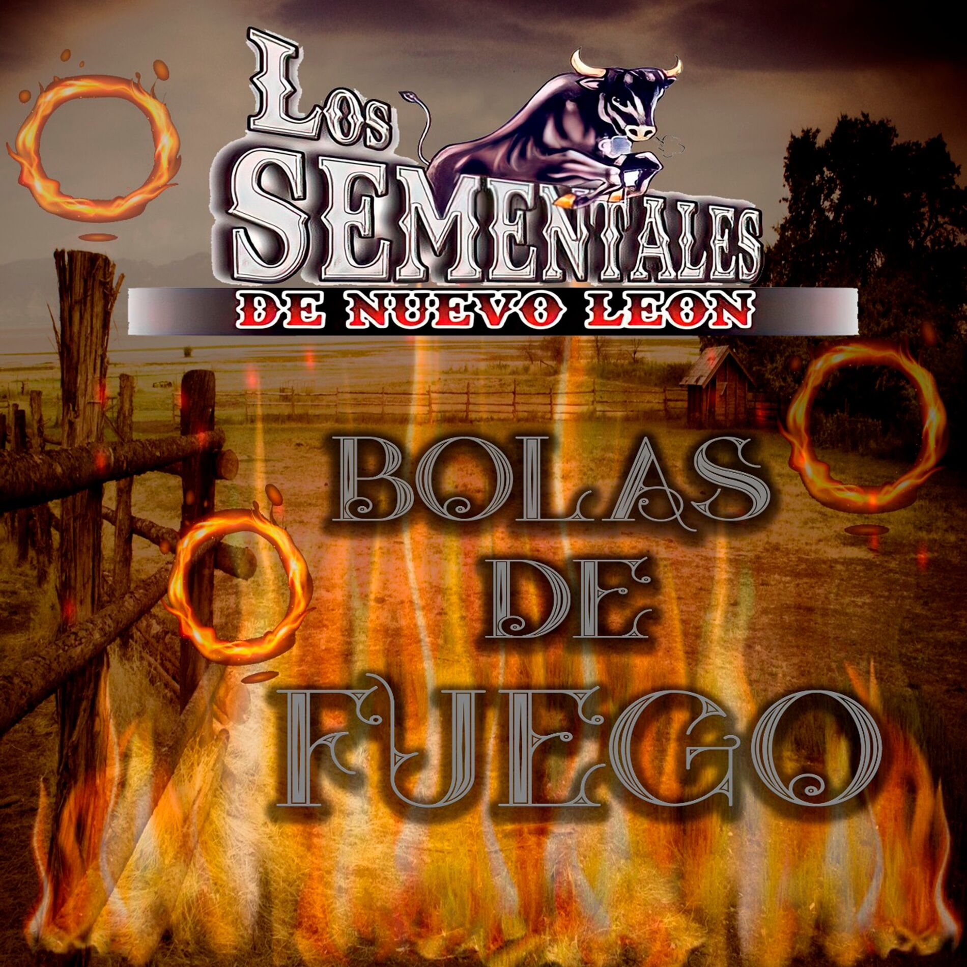 Album cover of Los sementales de nuevo León bolas de fuego