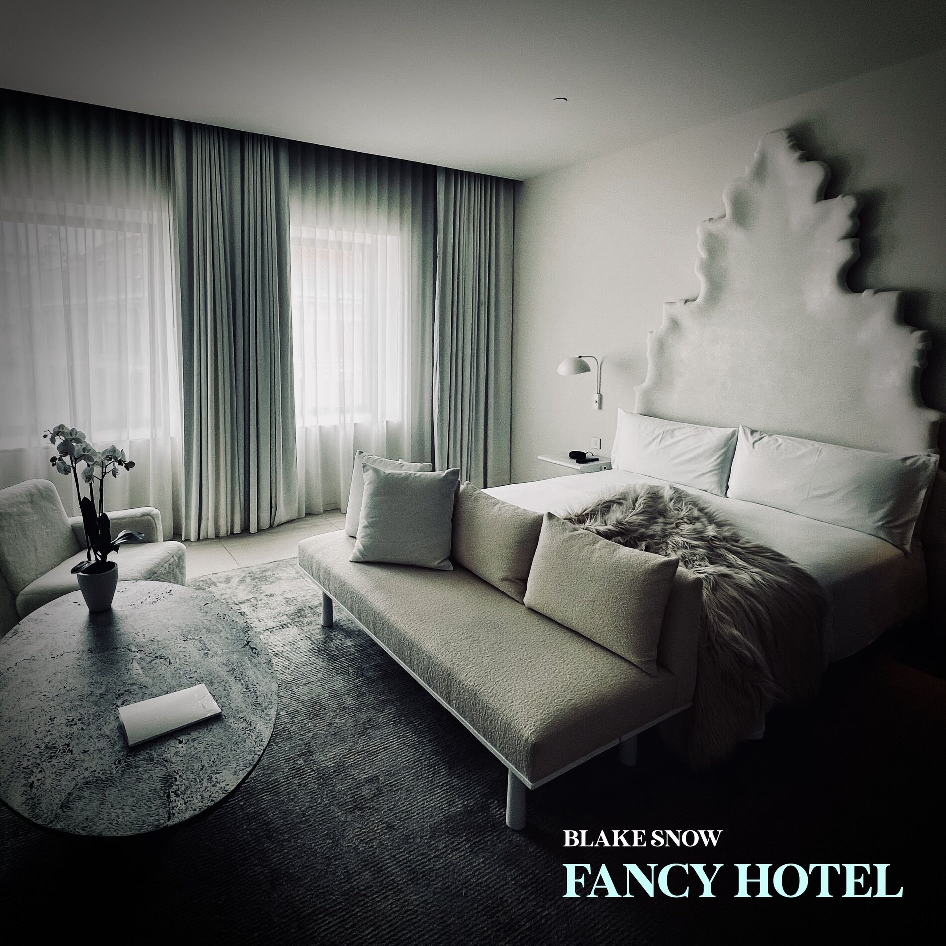 Album cover of Fancy Hotel