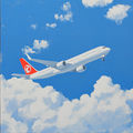 Fly in the Sky