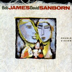 Cover of Double Vision