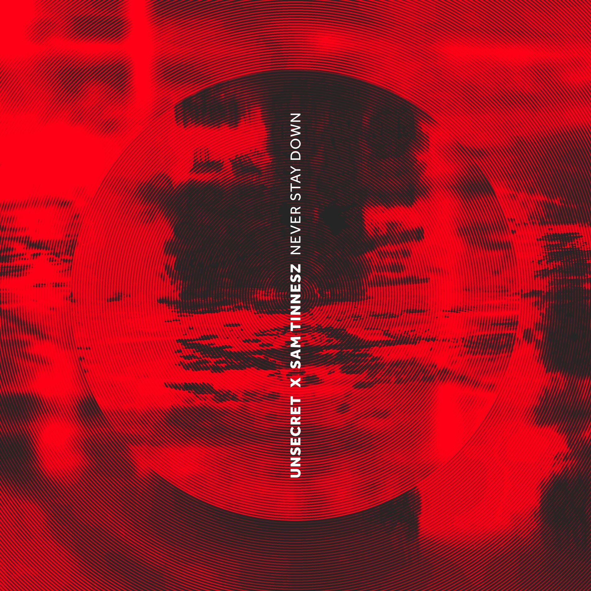 Album cover of Never Stay Down