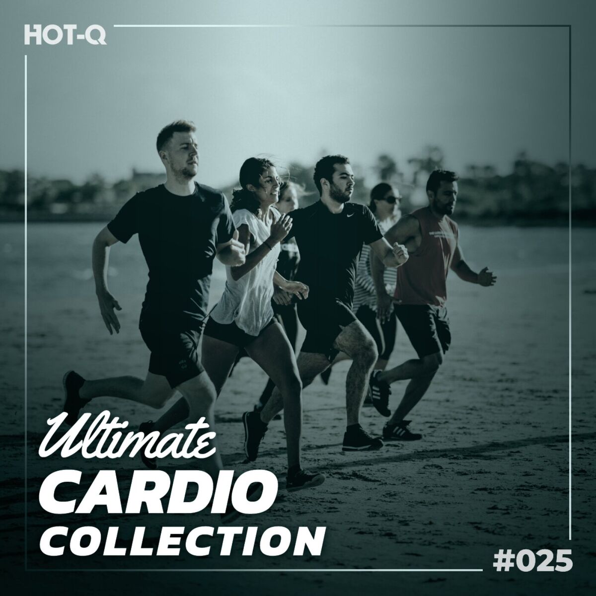 Album cover of Ultimate Cardio Collection 025