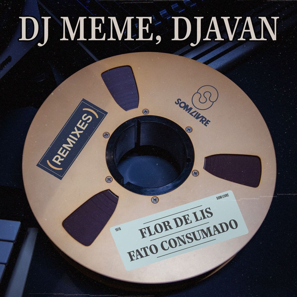 Album cover of Flor de Lis / Fato Consumado (DJ Meme Remixes)
