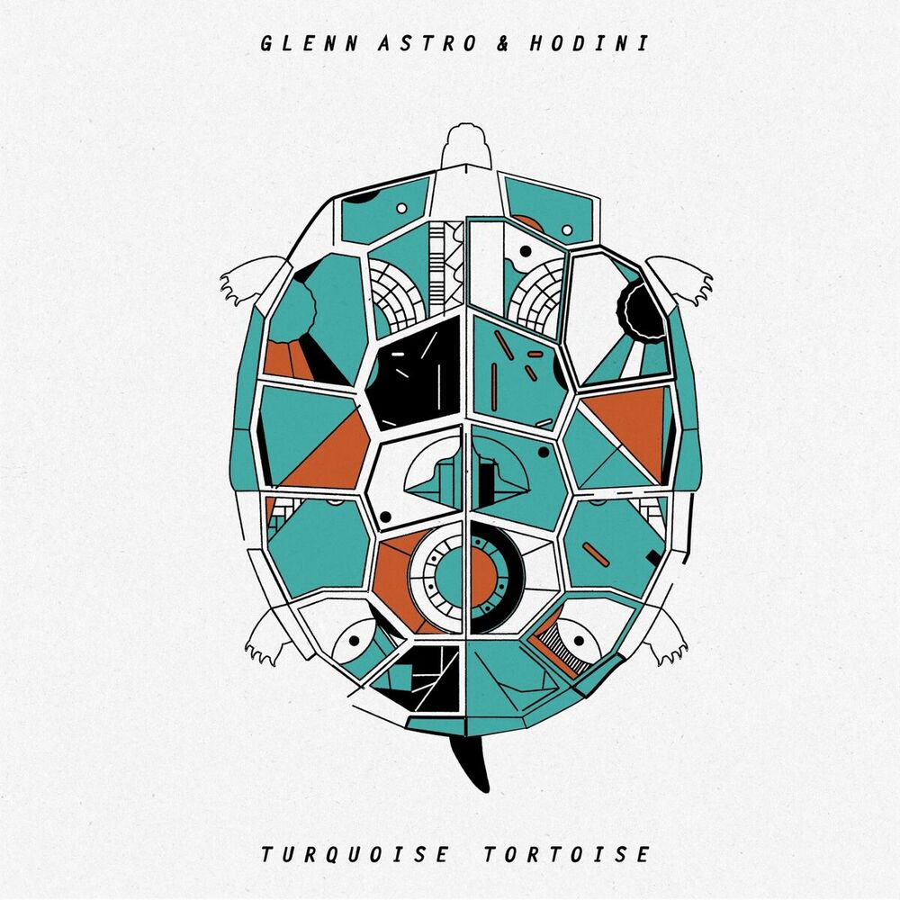 Picture of Turquoise Tortoise